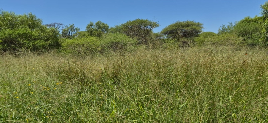 4 Bedroom Property for Sale in Zeerust North West